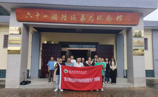 图片07233.png